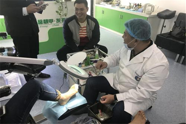 鳯舌金線蓮加盟
