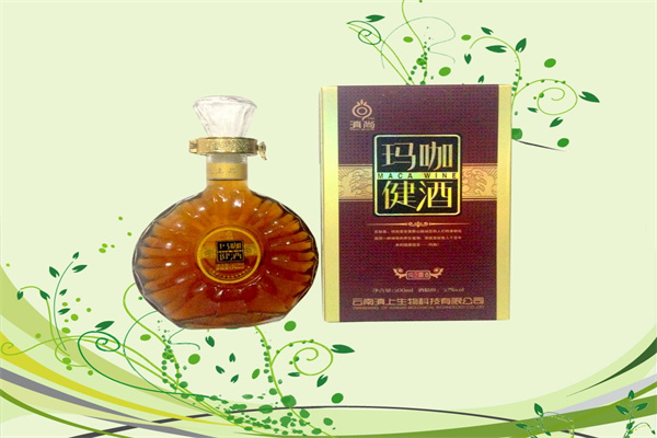 菊花醉保健酒加盟