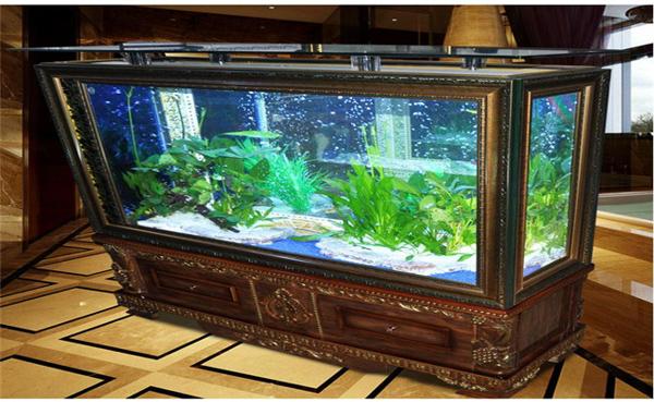 浮陽水族魚缸加盟