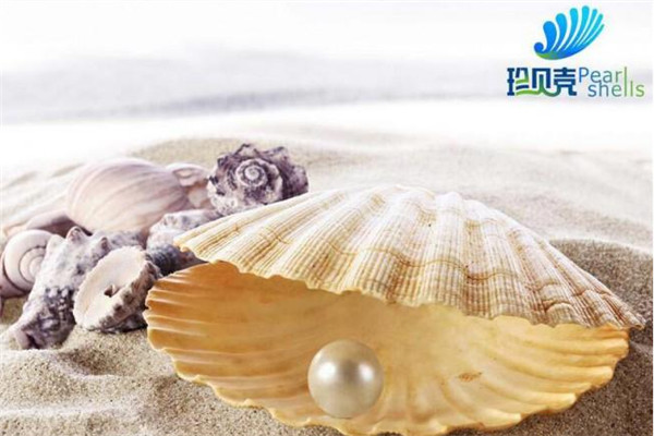 珍貝殼貝殼粉加盟
