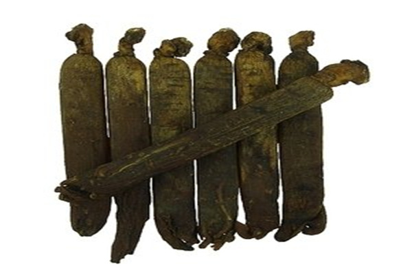 開城高麗人參加盟