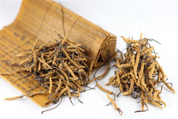 冬蟲(chóng)夏草保健酒加盟
