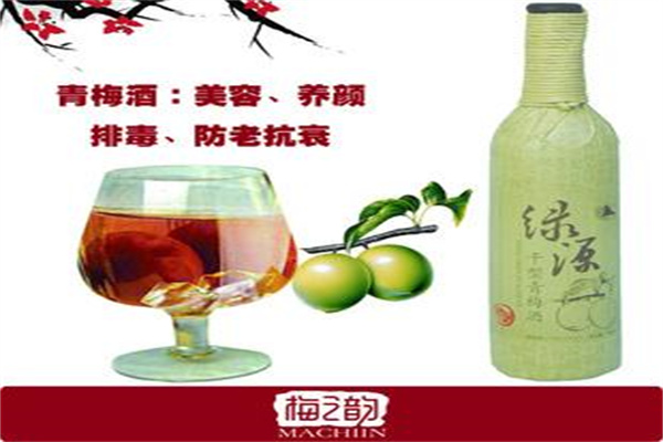 梅之韻保健酒加盟