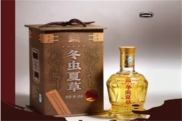 冬蟲(chóng)夏草保健酒加盟