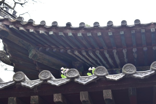 圣都古建磚瓦加盟