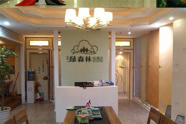 綠森林硅藻泥加盟