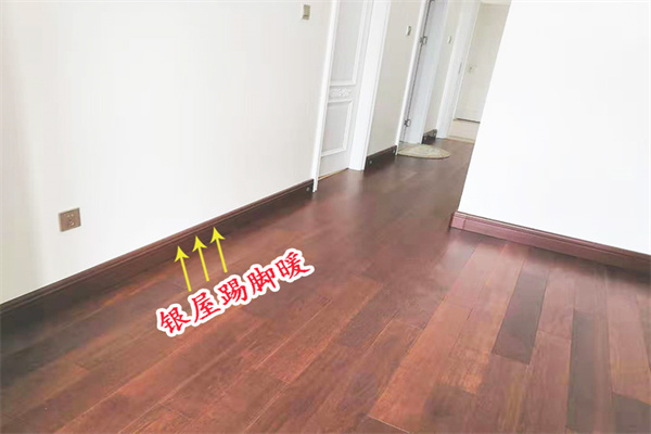 銀屋踢腳暖加盟