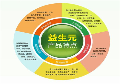 金領人益生元加盟