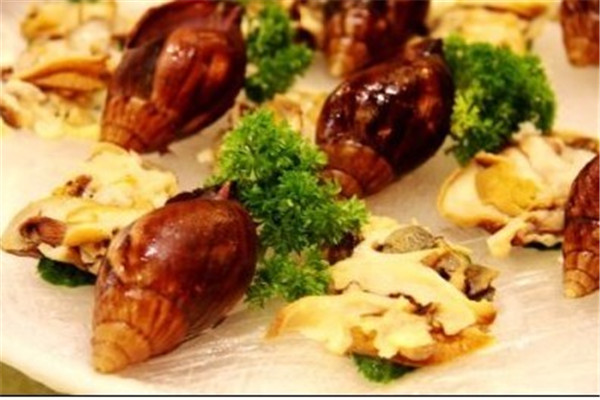 衡陽市首龍漁牧養(yǎng)殖