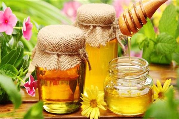 澳洲蜂農(nóng)蜂蜜加盟