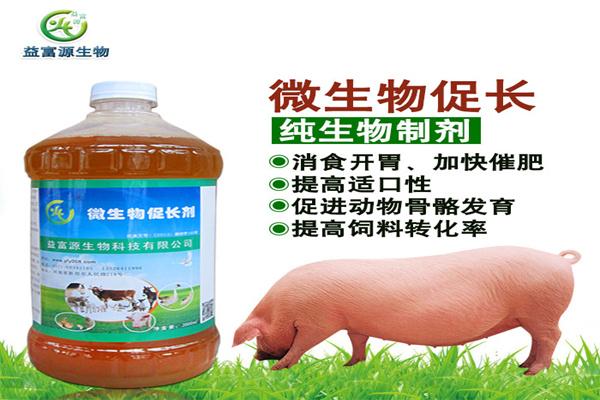 益富源養(yǎng)殖加盟