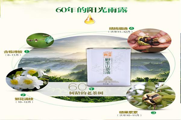 百年迎鑾貢茶油加盟