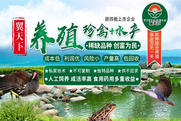 翼天下珍禽養(yǎng)殖加盟