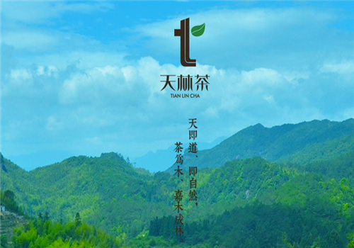 天林茶加盟