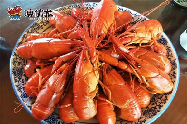 澳優(yōu)龍小龍蝦加盟