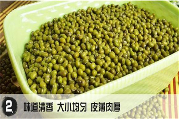 華農(nóng)綠康食品加盟