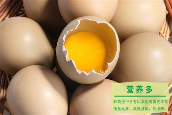 博士媽媽野雞蛋加盟