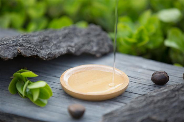 龍騰油茶籽油加盟