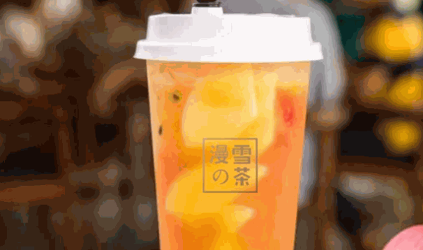 漫雪的茶費是多少錢?怎么樣?