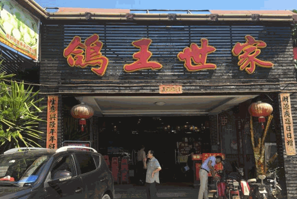 鴿王世家