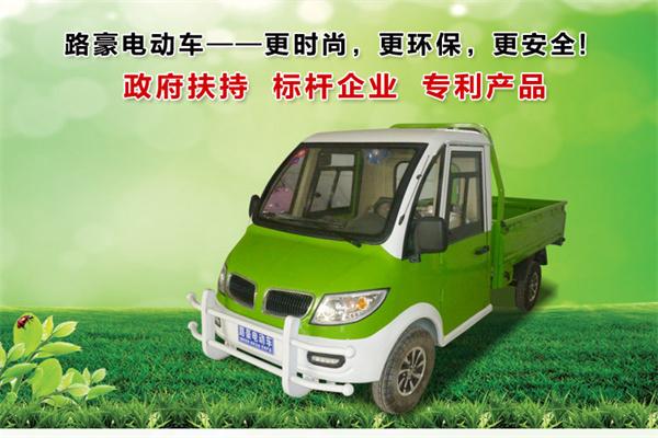 路豪電動車加盟