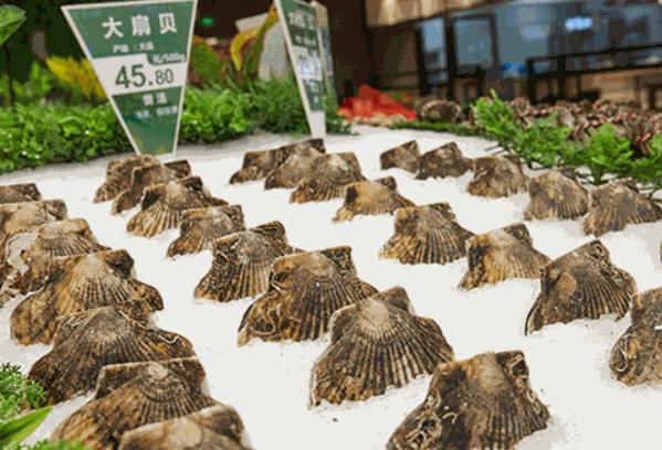 鮮生一號(hào)費(fèi)用大約多少?條件?
