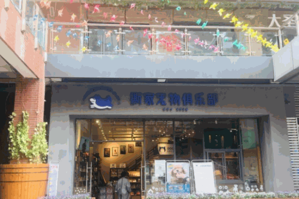 撕家寵物俱樂部加盟