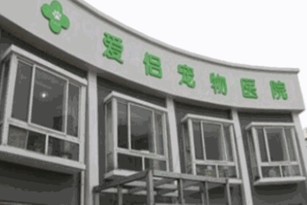 愛侶寵物醫(yī)院加盟