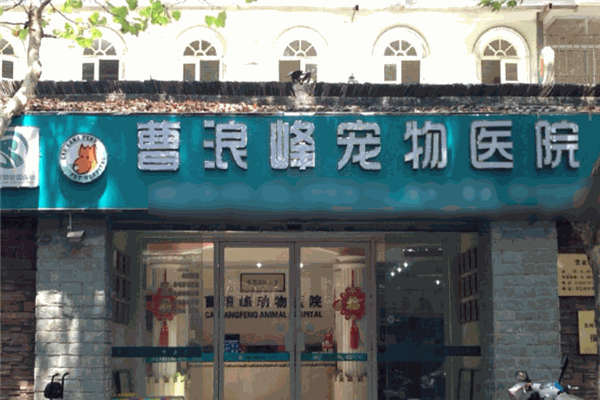 曹浪峰寵物醫(yī)院加盟