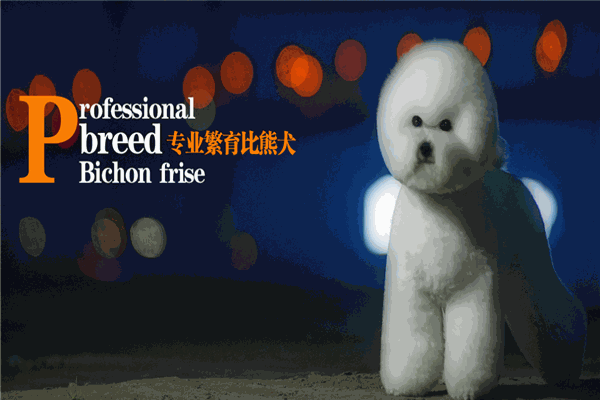 貴族寵物加盟