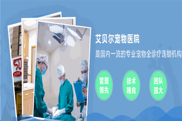 艾貝爾寵物醫(yī)院加盟