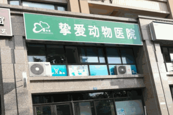 摯愛動物醫(yī)院加盟