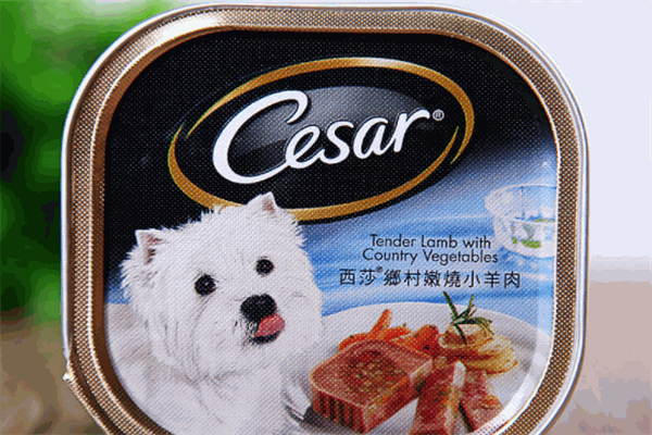 西莎寵物加盟
