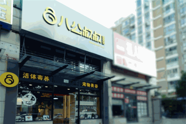 八公叔叔加盟