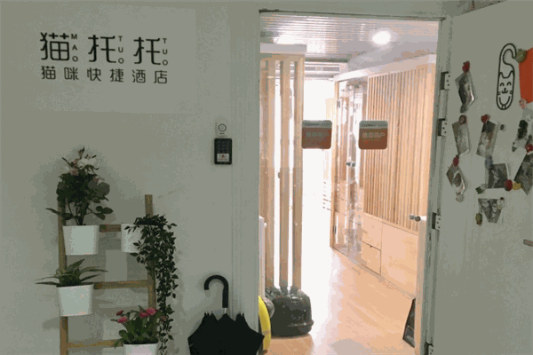 貓托托貓咪快捷酒店加盟