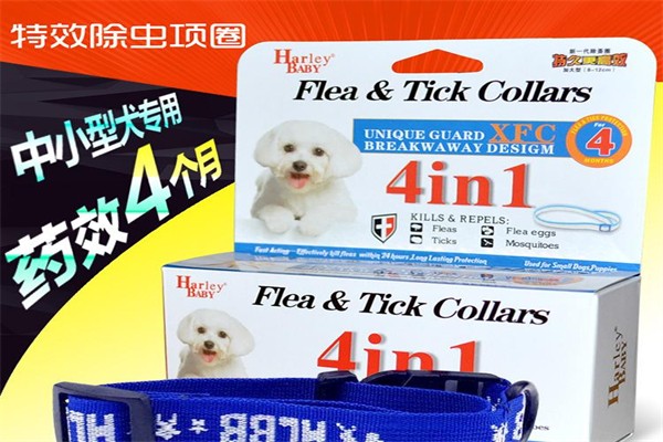 哈利貝貝加盟