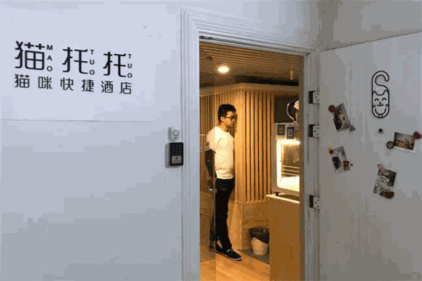 貓托托貓咪快捷酒店加盟