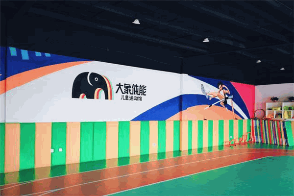 大象體能兒童運(yùn)動(dòng)館加盟