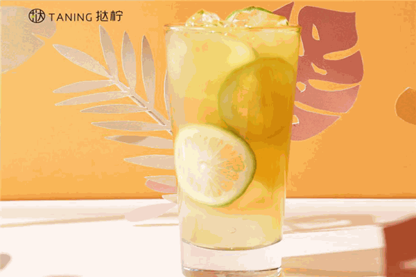 撻檸檸檬茶加盟