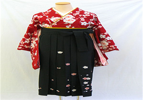 netaikyo熱帶魚服飾加盟