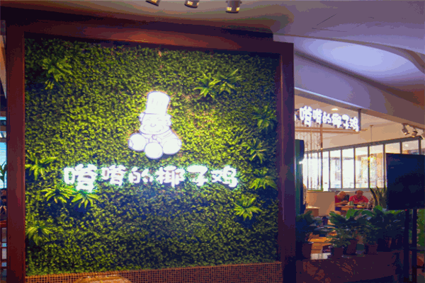 嗲嗲的椰子雞加盟