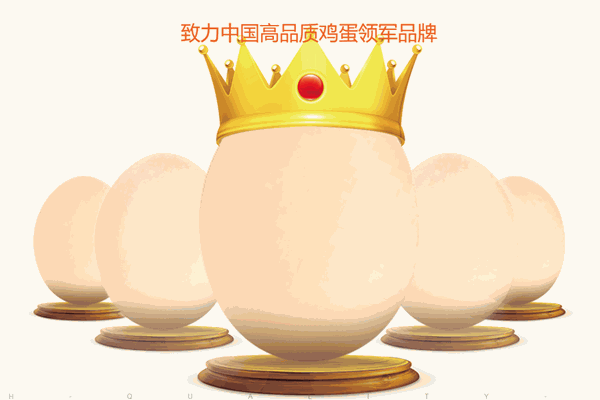 圣迪樂(lè)村雞蛋加盟