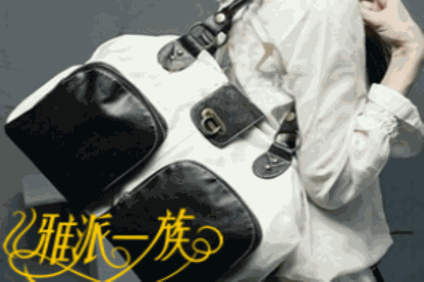 雅派一族箱包加盟