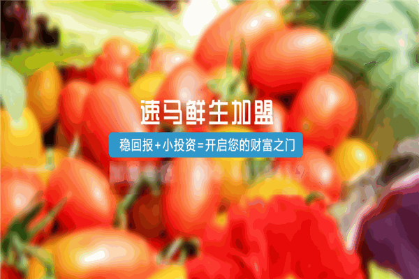 速馬鮮生加盟