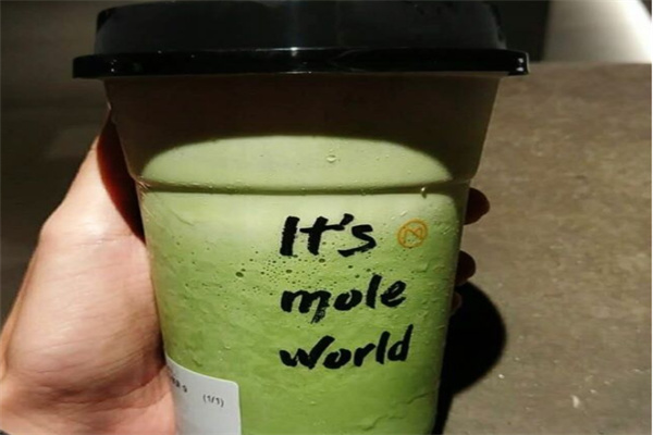 MOLE 摩樂