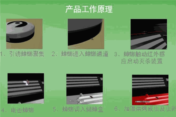 力群牌電子滅蟑螂器加盟