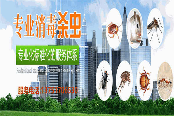 滅四害綠圃帶加盟