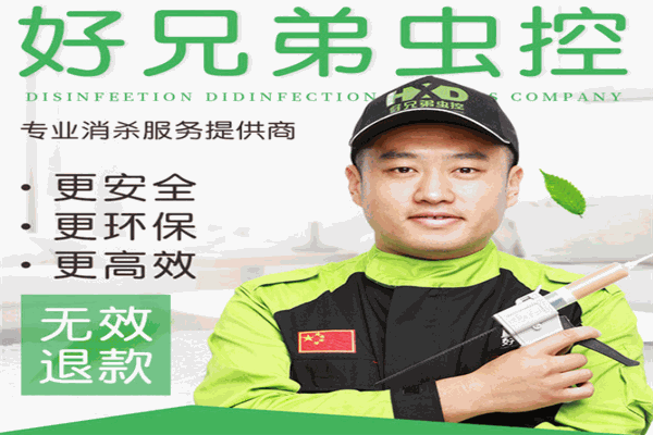 好兄弟蟲控加盟