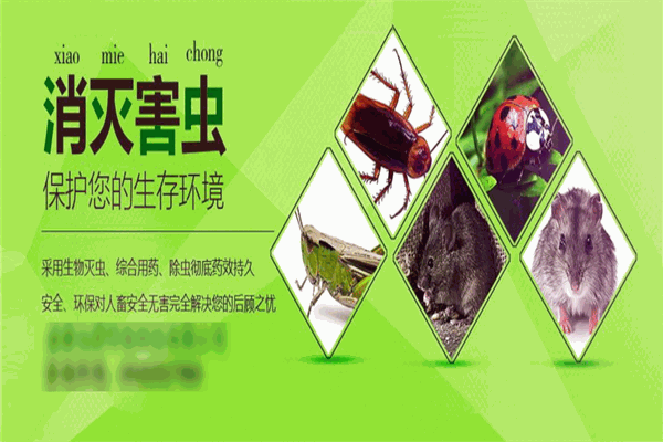 逸爾蟲控加盟
