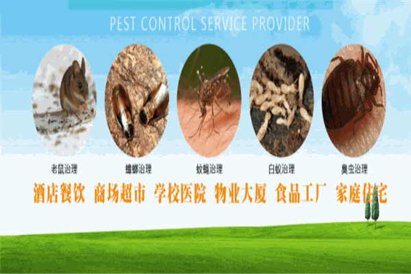 逸爾蟲控加盟